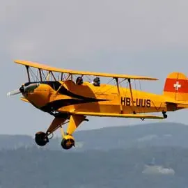 Oldtimer Flug Bücker